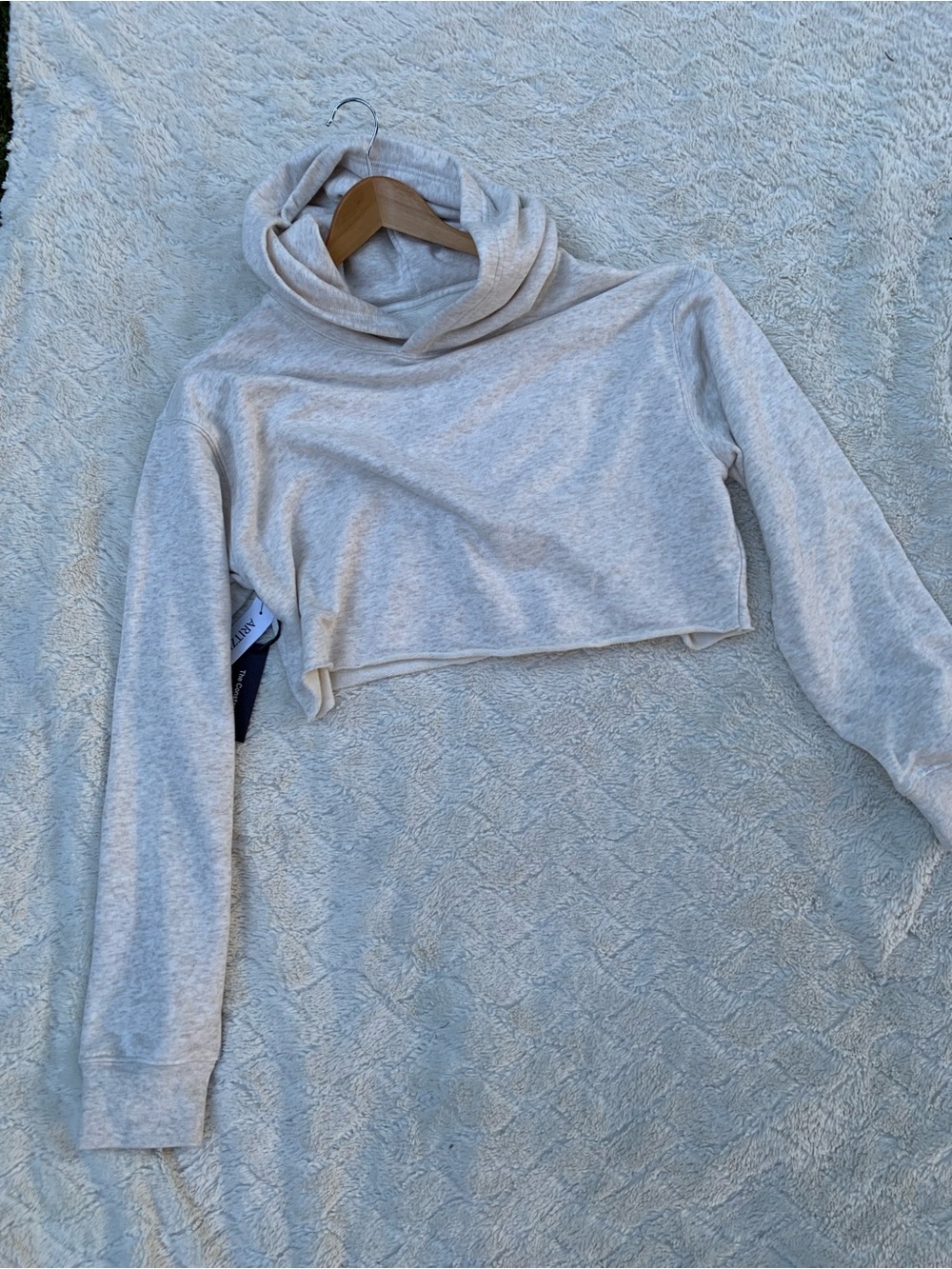 Aritzia The Constant Cropped Hooded Sweatshirt